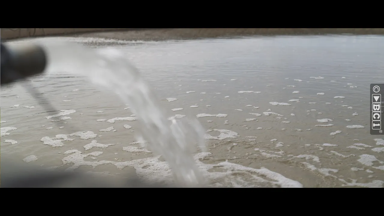 Klimaatadaptief waterbeheer voor toekomstbestendige landbouw