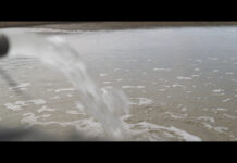 Oplossing voor duurzaam waterbeheer bij boeren Slim inspelen op droogte: lessen uit de praktijk