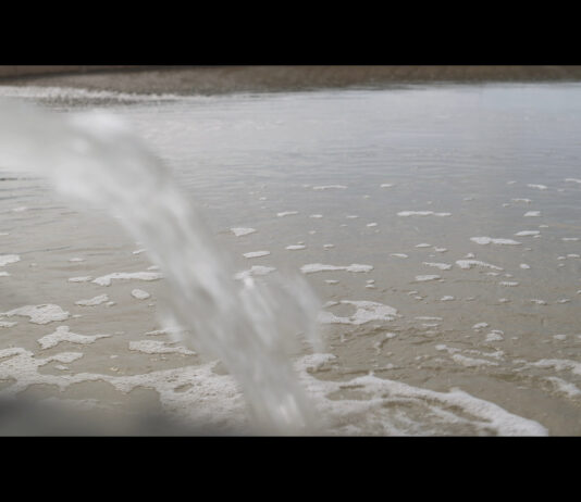 Oplossing voor duurzaam waterbeheer bij boeren Slim inspelen op droogte: lessen uit de praktijk